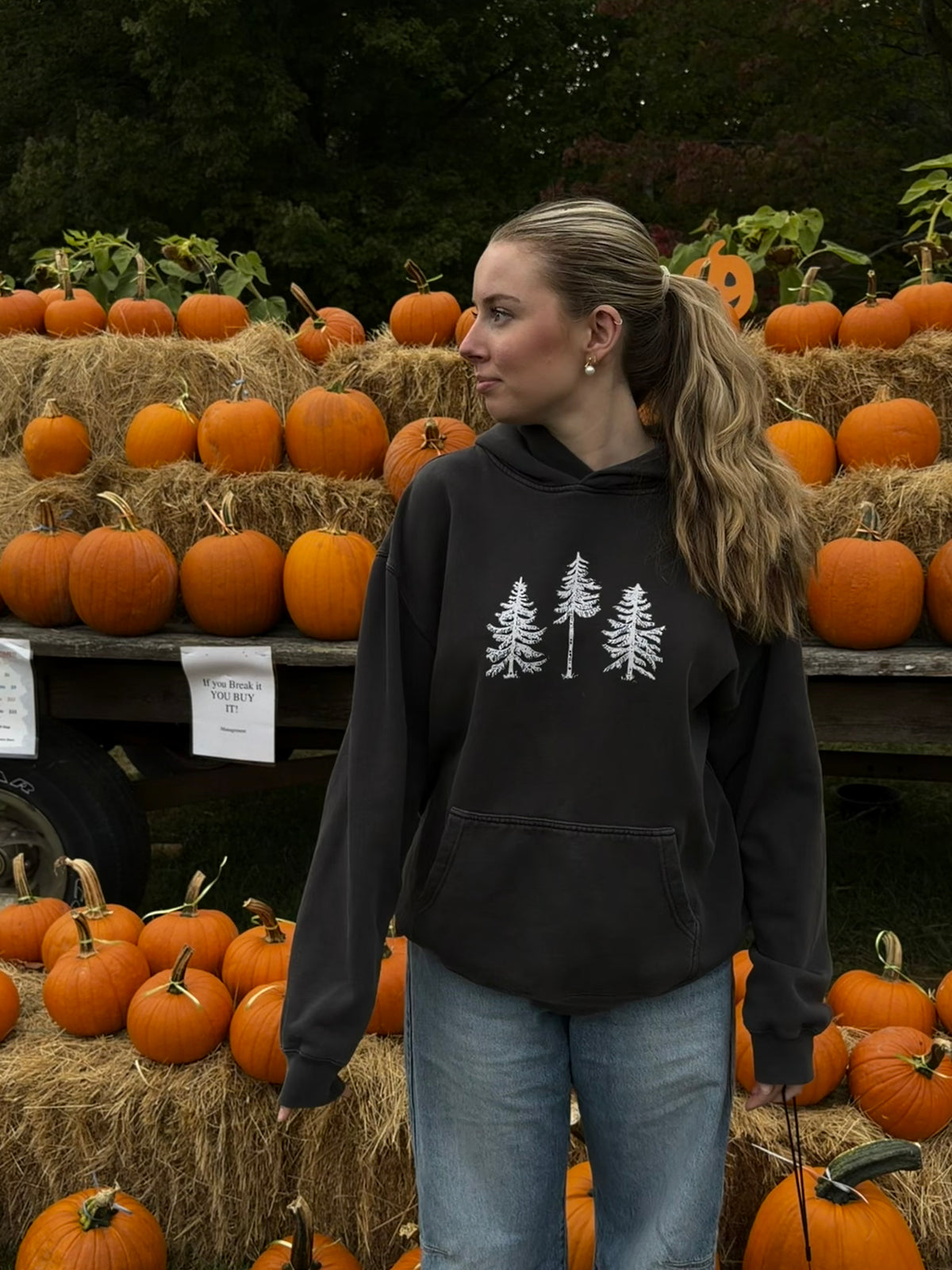 Three Pines® Midweight Relaxed Fit Hooded Maine Sweatshirt ( 2 colors available)