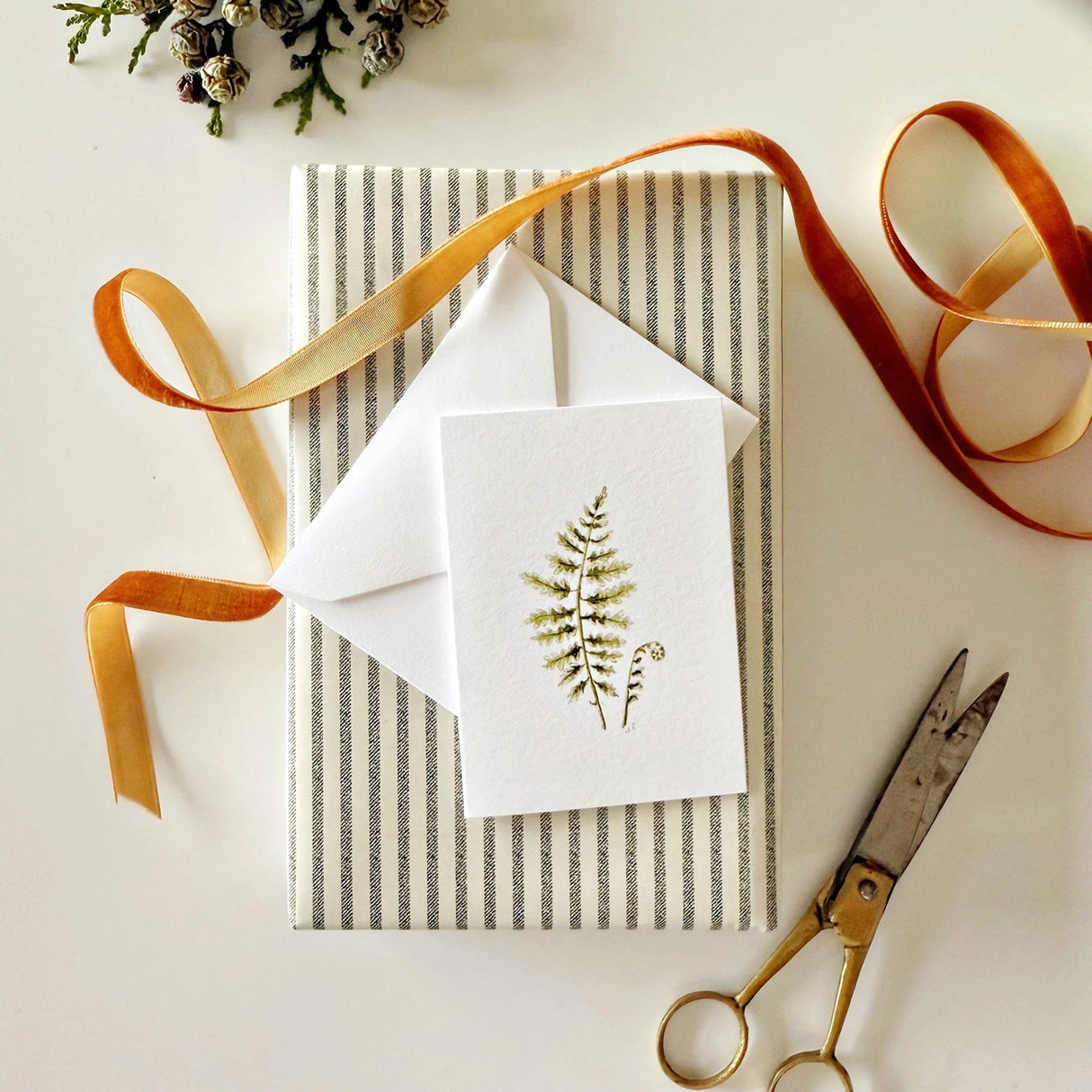 Fern Mini Notecard - emily lex studio