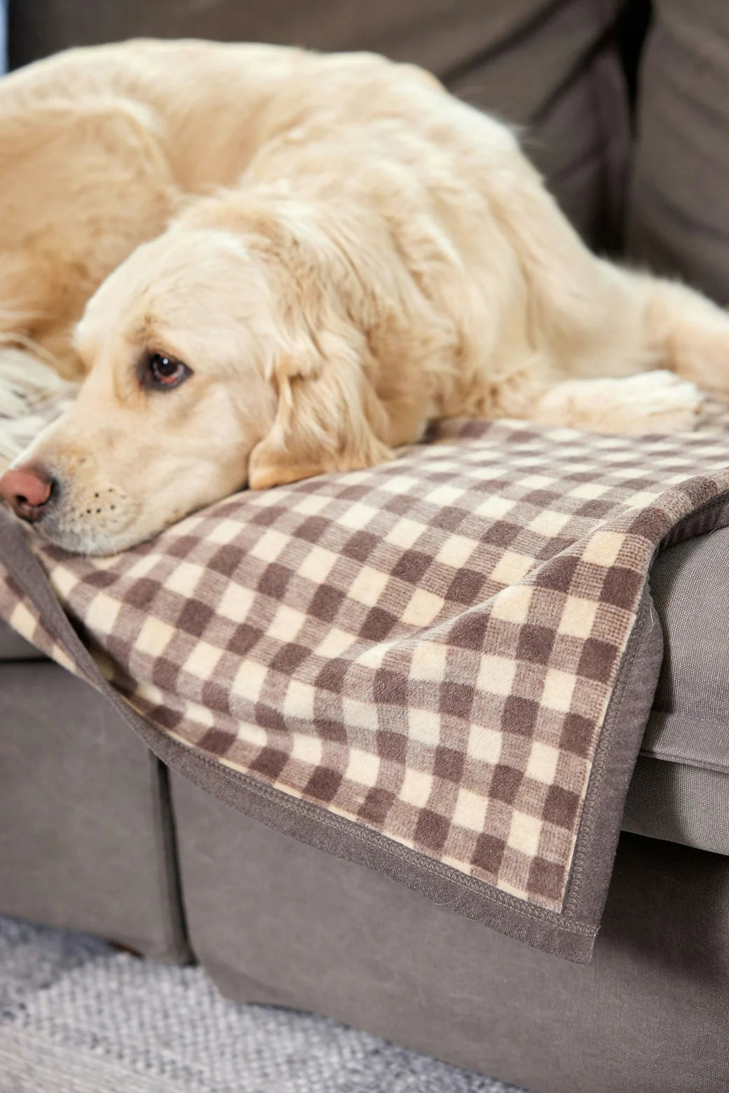 Gingham Mocha Midi Blanket - Chappy Wrap