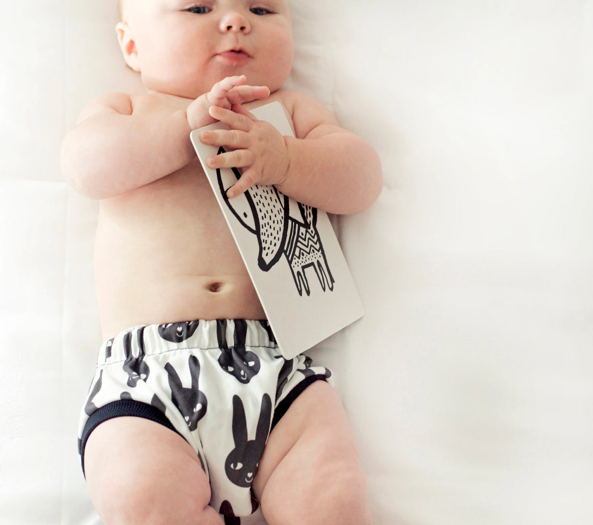 Woodland Animals Art Cards - Wee Gallery