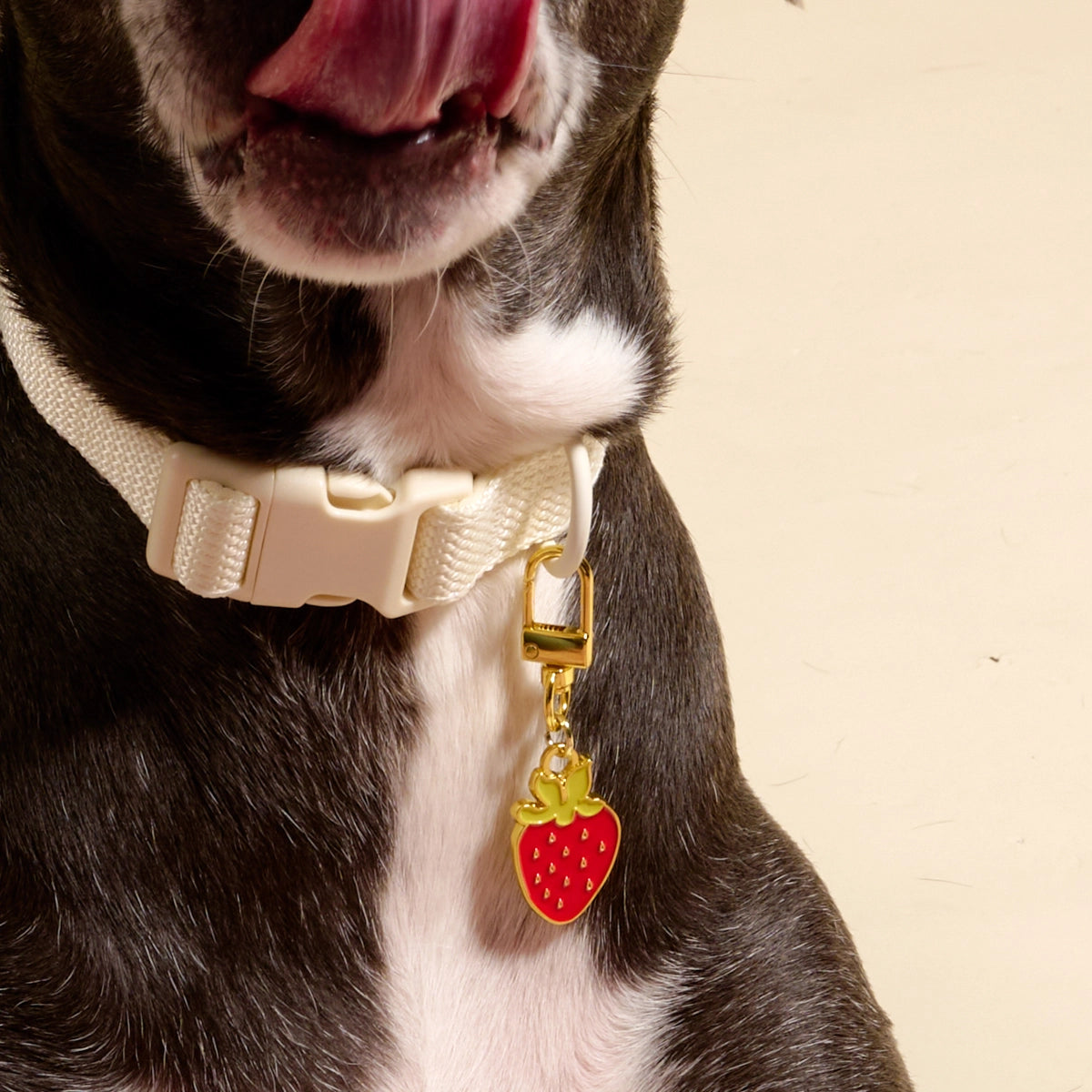 Strawberry Pet Collar Charm - The Darling Effect