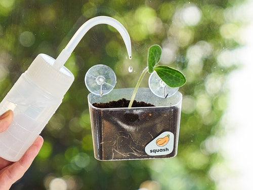 Window Garden Diy Growing Plant Kit For Kids - KiwiCo