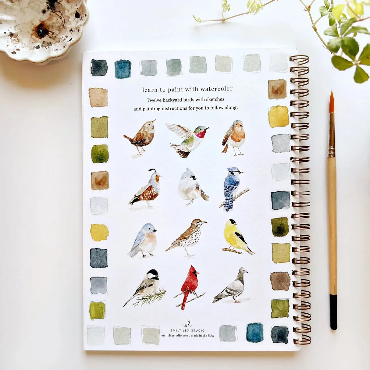 Birds Watercolor Workbook - emily lex studio - The Woods Maine