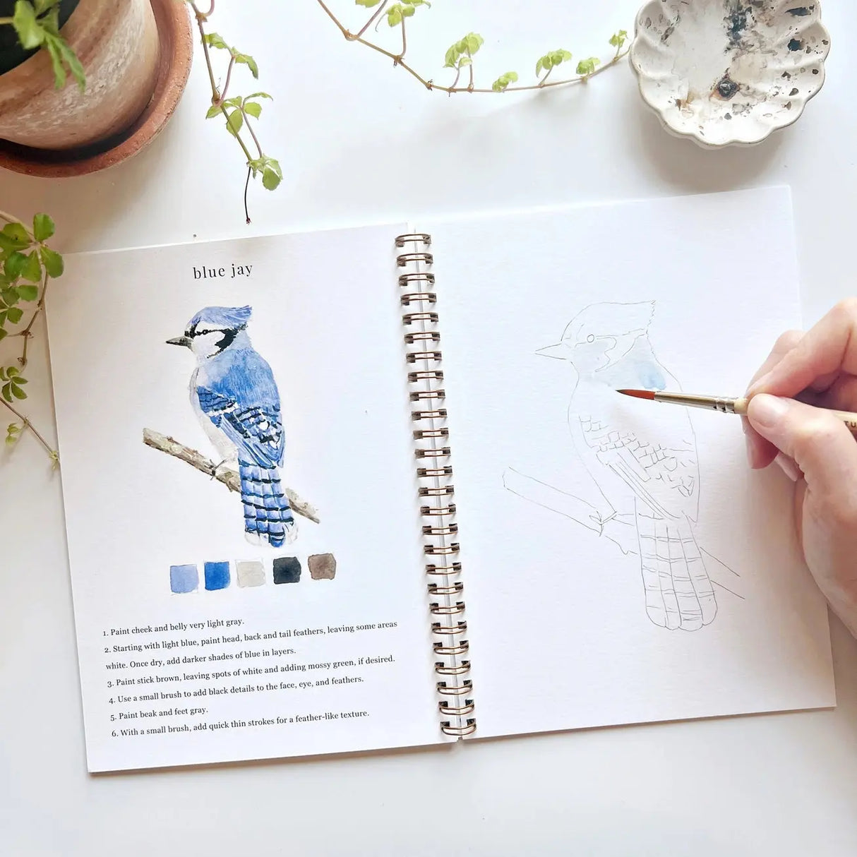 Birds Watercolor Workbook - emily lex studio - The Woods Maine