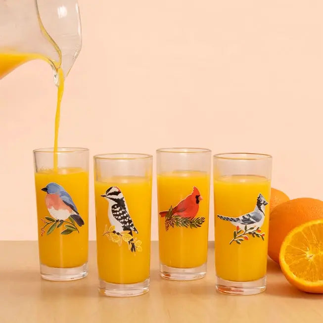 Feathered Friends Tall Juice Glasses (Set of 4) - One Canoe Two Paper Co. - The Woods Maine