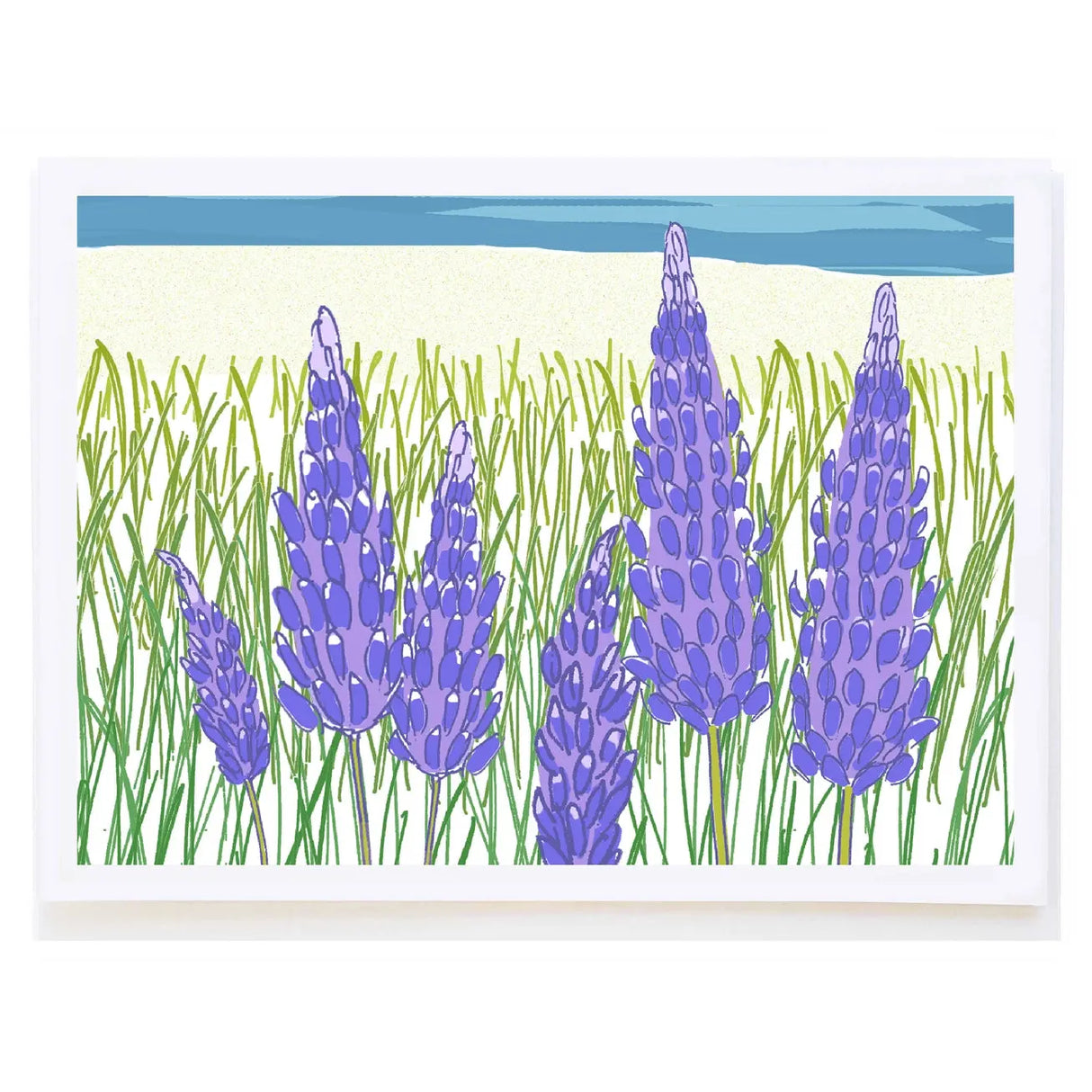 Lupines Card - mollyOcards - The Woods Maine