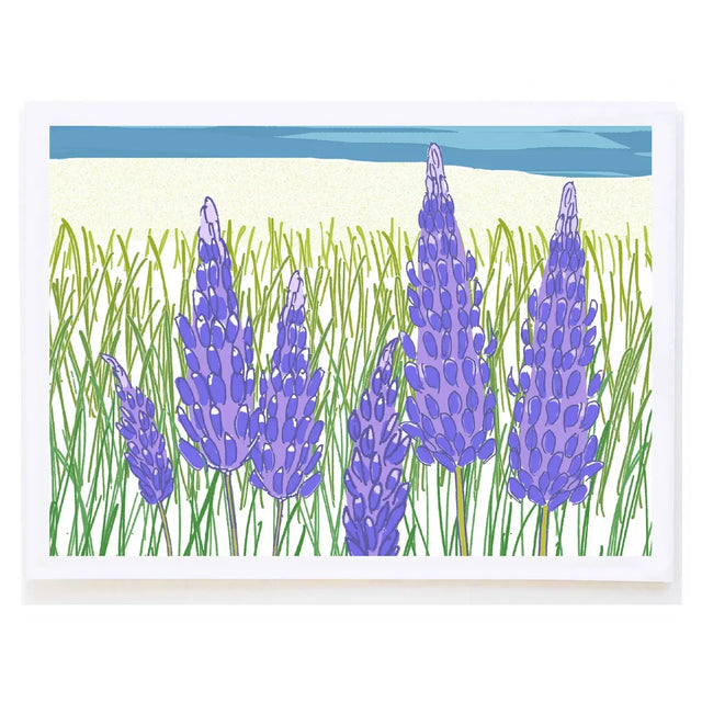Lupines Card - mollyOcards - The Woods Maine