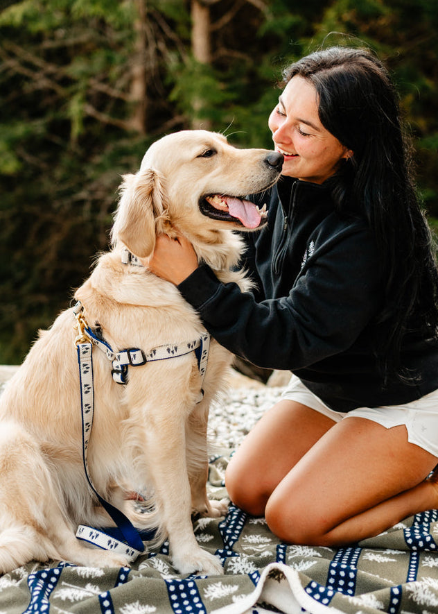 Three Pines® Navy Dog Harness | USA Made
