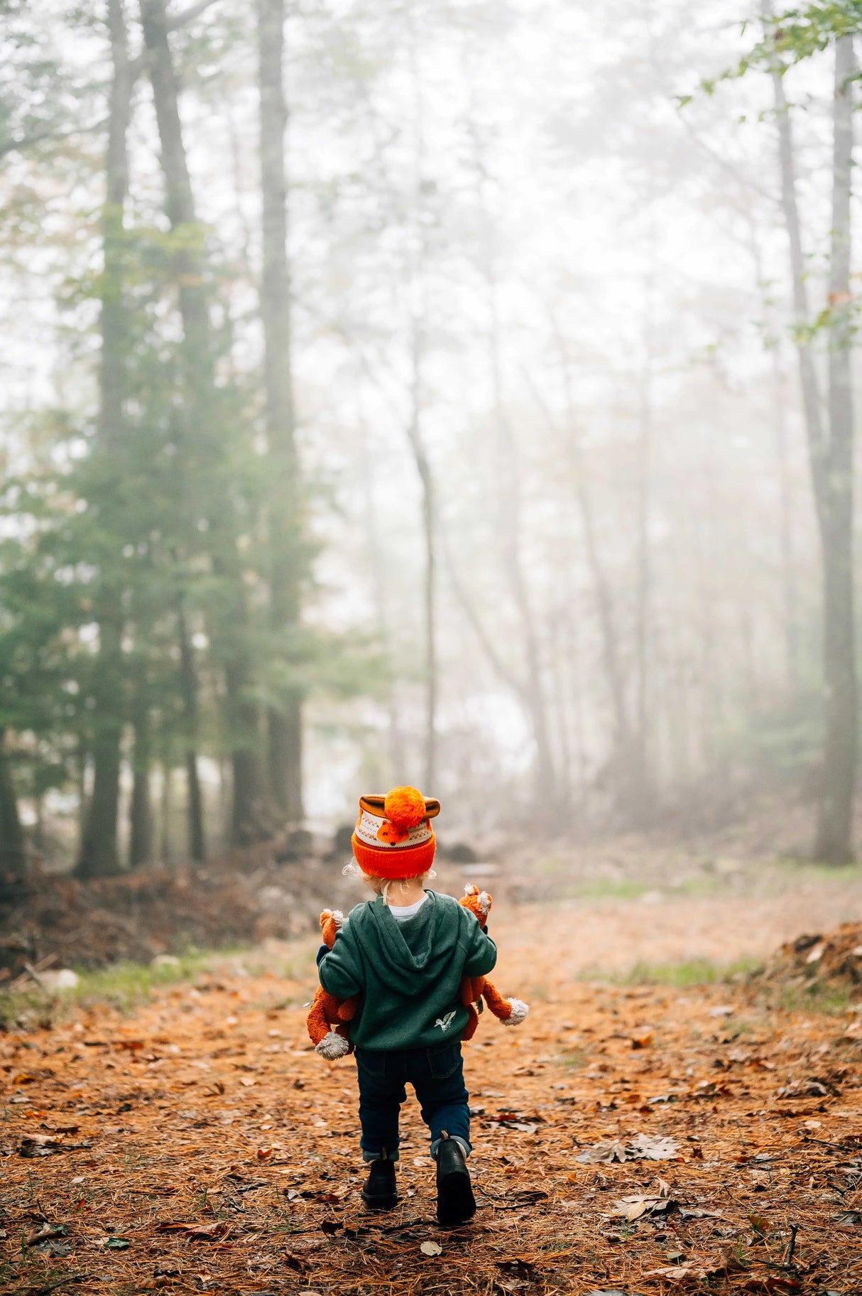 The Loon: Three Pines® Toddler Hoodie Sweatshirt - The Woods Maine
