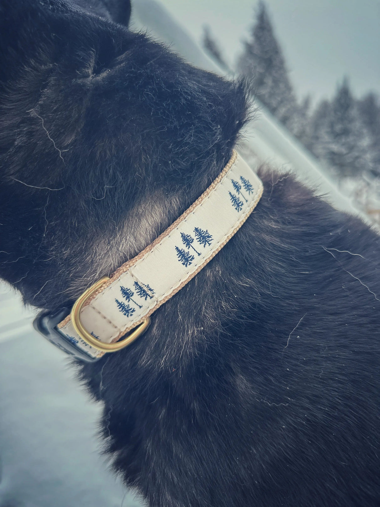 Three Pines® Dog Collar | Made in the USA - The Woods Maine