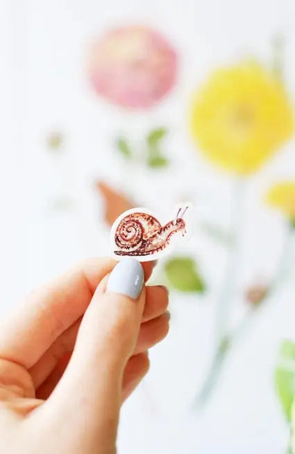 Tiny Snail Sticker - Laura King Paints - The Woods Maine
