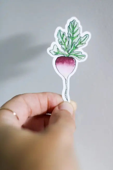 Watercolor Radish Sticker - S & D - The Woods Maine
