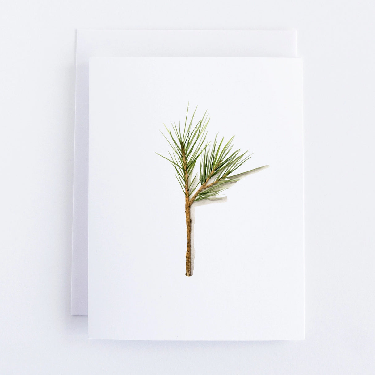 Pine Needle Note Card - Finding Silver Pennies