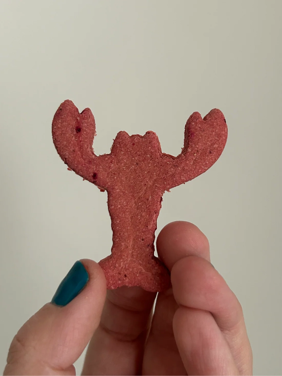 Maine Lobstah Beet & Banana Dog Biscuits - Ruff Pine Dog Treats