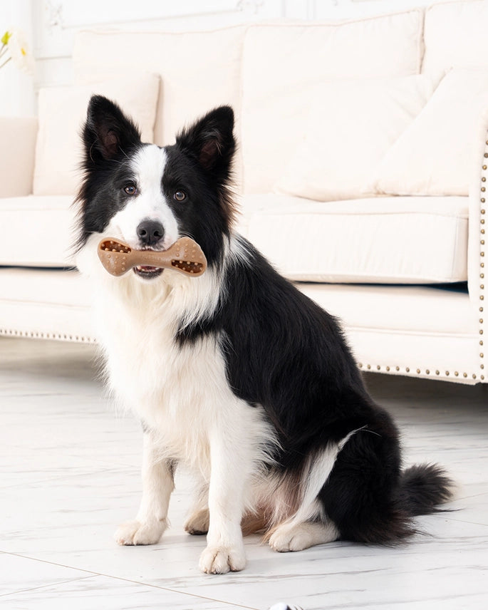 Freeze and Fill Chew Bone Dog Toy - Tall Tails