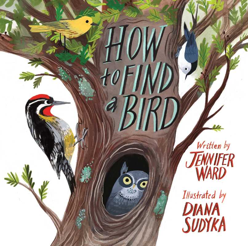 How To Find A Bird By Jennifer Ward