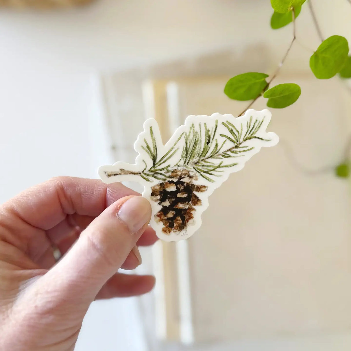 Watercolor Pinecone Sticker - emily lex studio