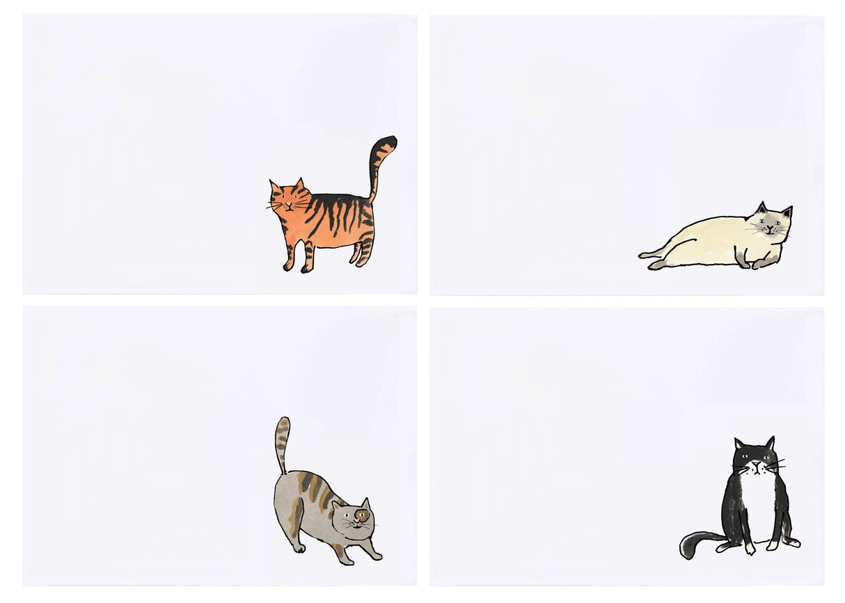 Cats Stationery (Box Set of 12) - mollyOcards