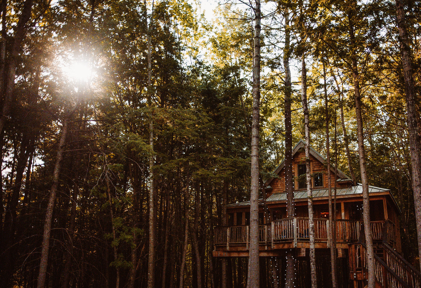 mainetreehouserental