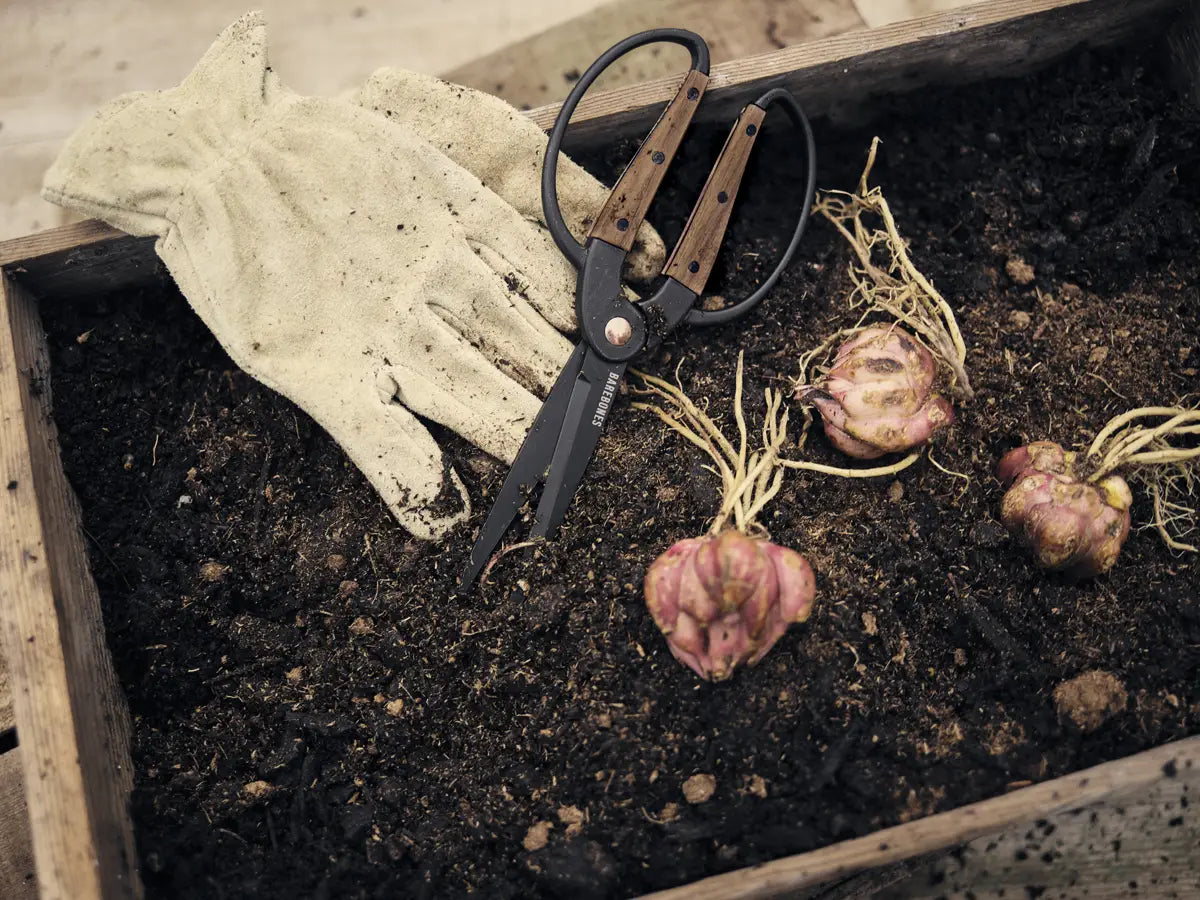 Garden Scissors - Barebones
