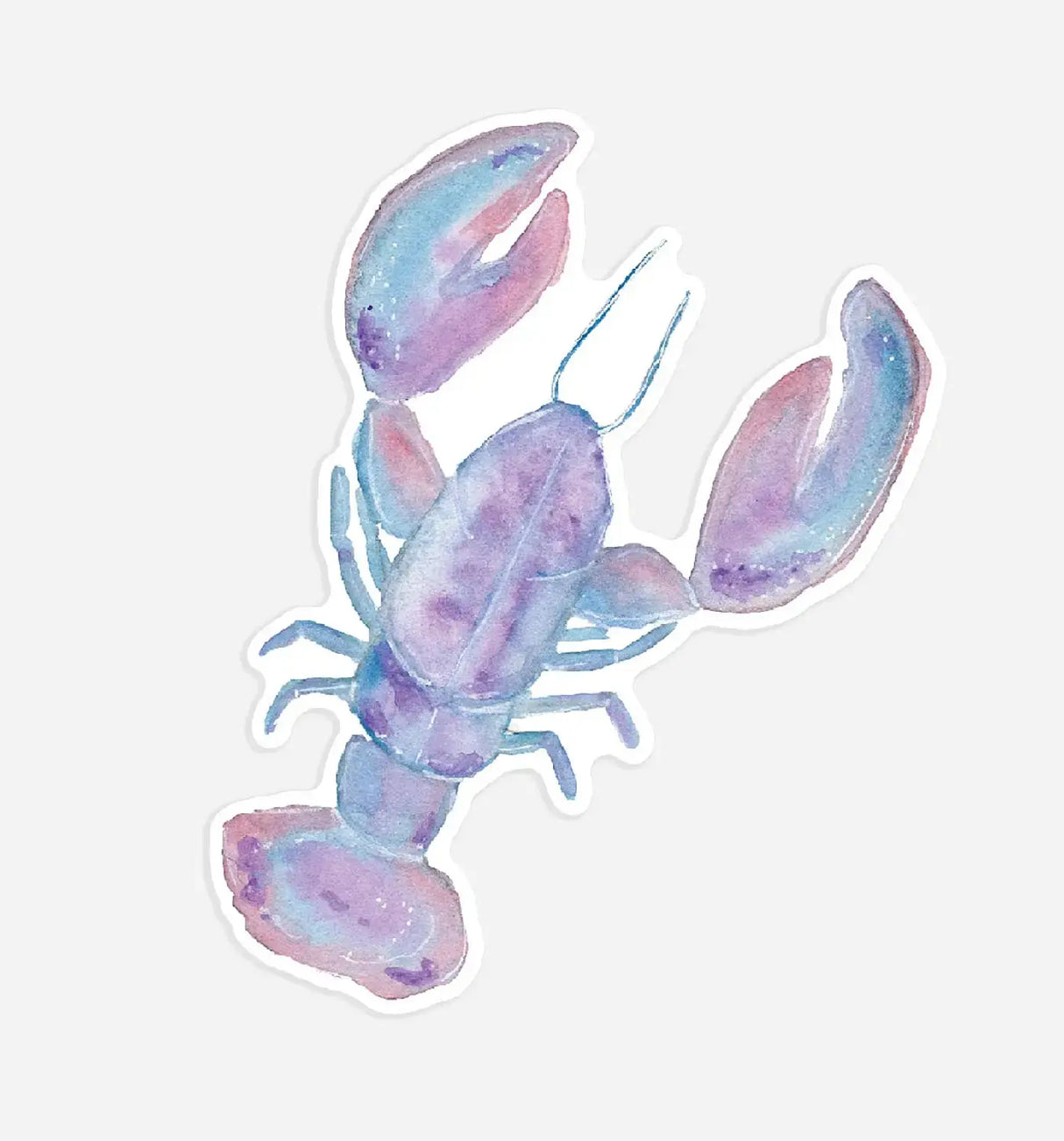 Blue Lobster Sticker - Emmy + Olly - The Woods Maine