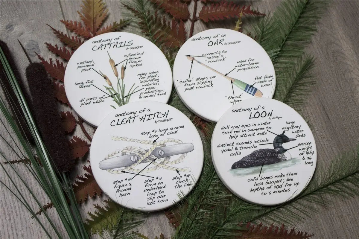 Lake Life Anatomy Coasters - Dishique - The Woods Maine