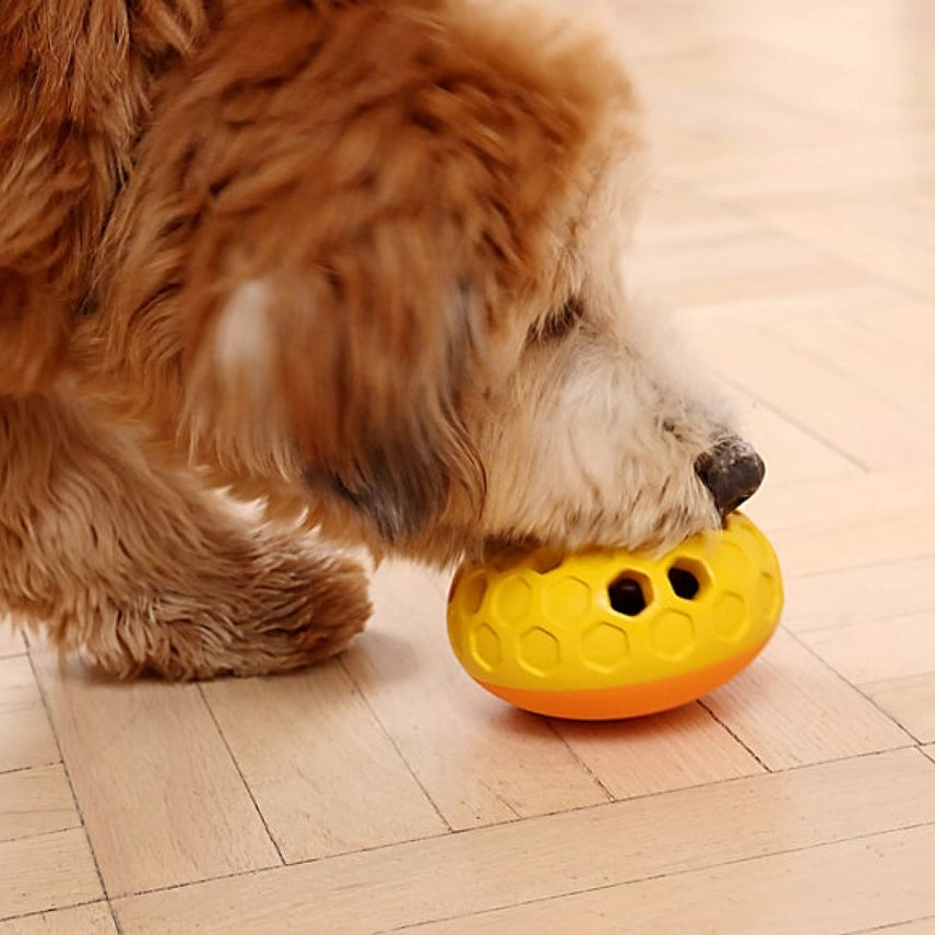 Natural Rubber Bee Hive Reward Dog Toy - Tall Tails