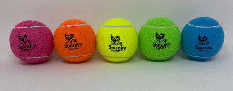 Bucket of Balls (24 Count) - Spunky Pup