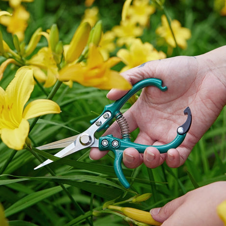 Garden Shears - Modern Sprout