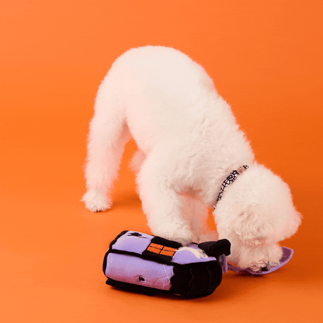 Haunted House Interactive Snuffle Dog Toy - The Foggy Dog
