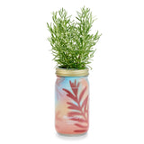 Rosemary Garden Jar - Modern Sprout