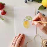 Fruit Paintable Notecards - emily lex studio
