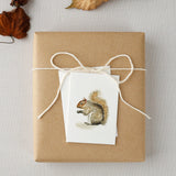 Squirrel Mini Notecard - emily lex studio