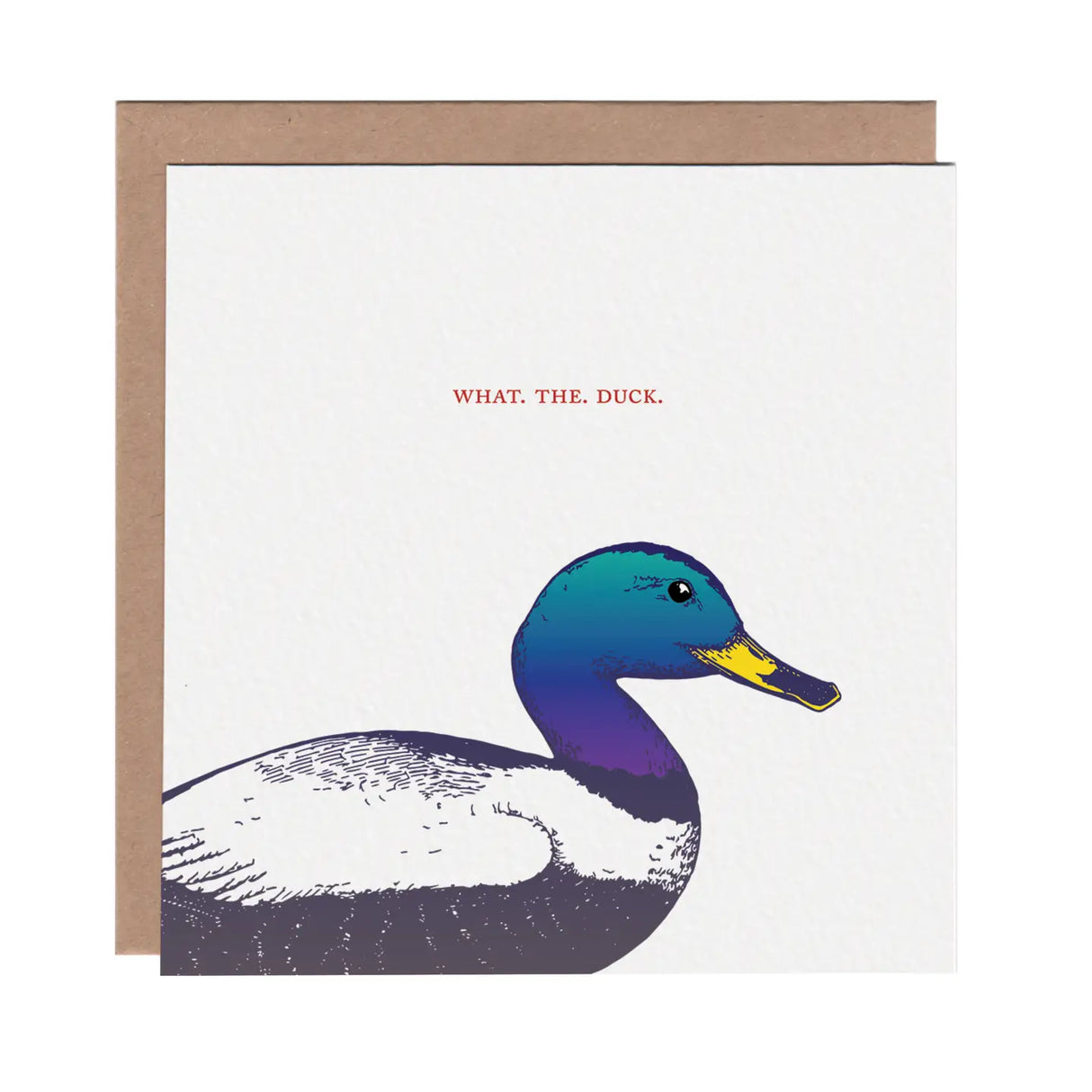 What the Duck Greeting Card - Ampersand M Studio