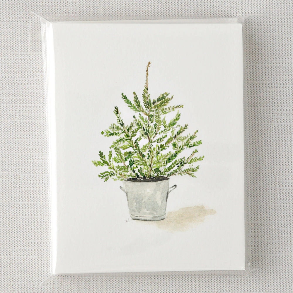 Evergreen Holiday Notecard Set - emily lex studio