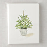 Evergreen Holiday Notecard Set - emily lex studio