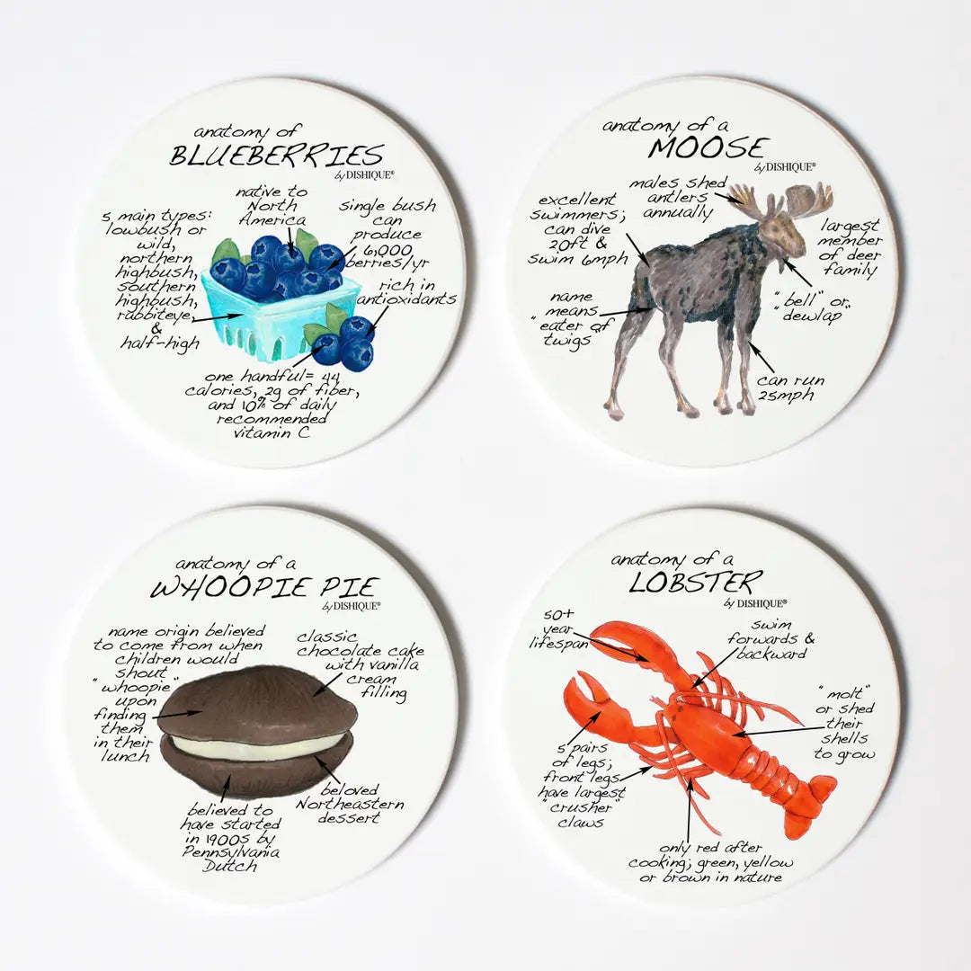 Maine Anatomy Coasters - Dishique