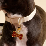 Bad to the Bone Dog Collar Charm - The Darling Effect