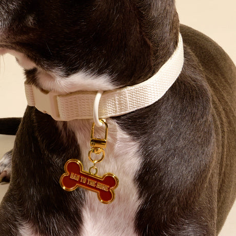 Bad to the Bone Dog Collar Charm - The Darling Effect