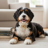 Lobster Pet Collar Charm - The Darling Effect