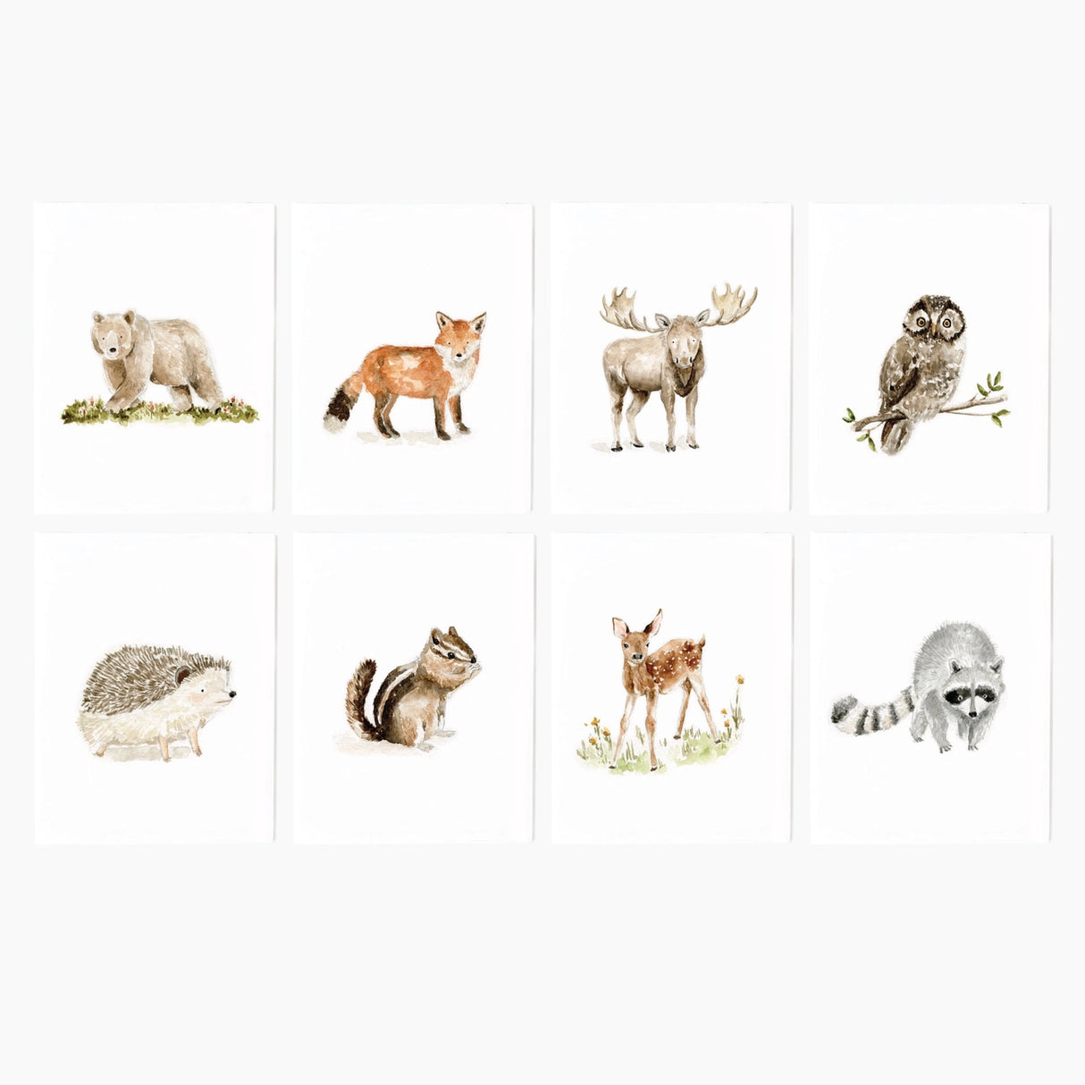 Woodland Animal Notecard Set - emily lex studio