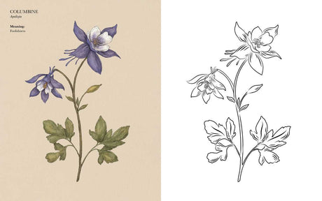 Floriography Coloring Book By Jessica Roux
