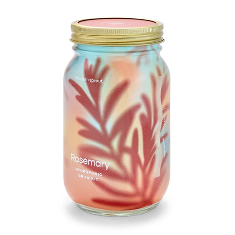 Rosemary Garden Jar - Modern Sprout