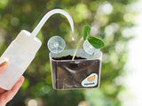 Window Garden Diy Growing Plant Kit For Kids - KiwiCo