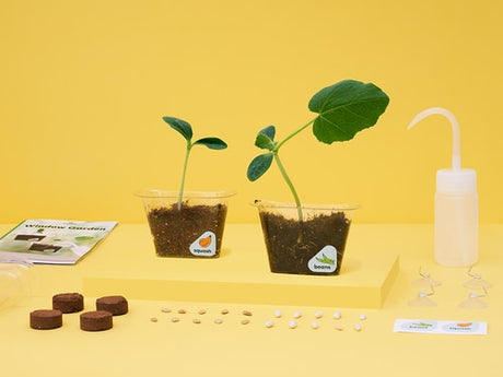 Window Garden Diy Growing Plant Kit For Kids - KiwiCo