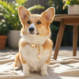 Ice Cream Cone Pet Collar Charm - The Darling Effect