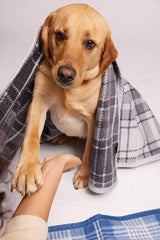 Andover Plaid Midi Blanket - Chappy Wrap x The Foggy Dog