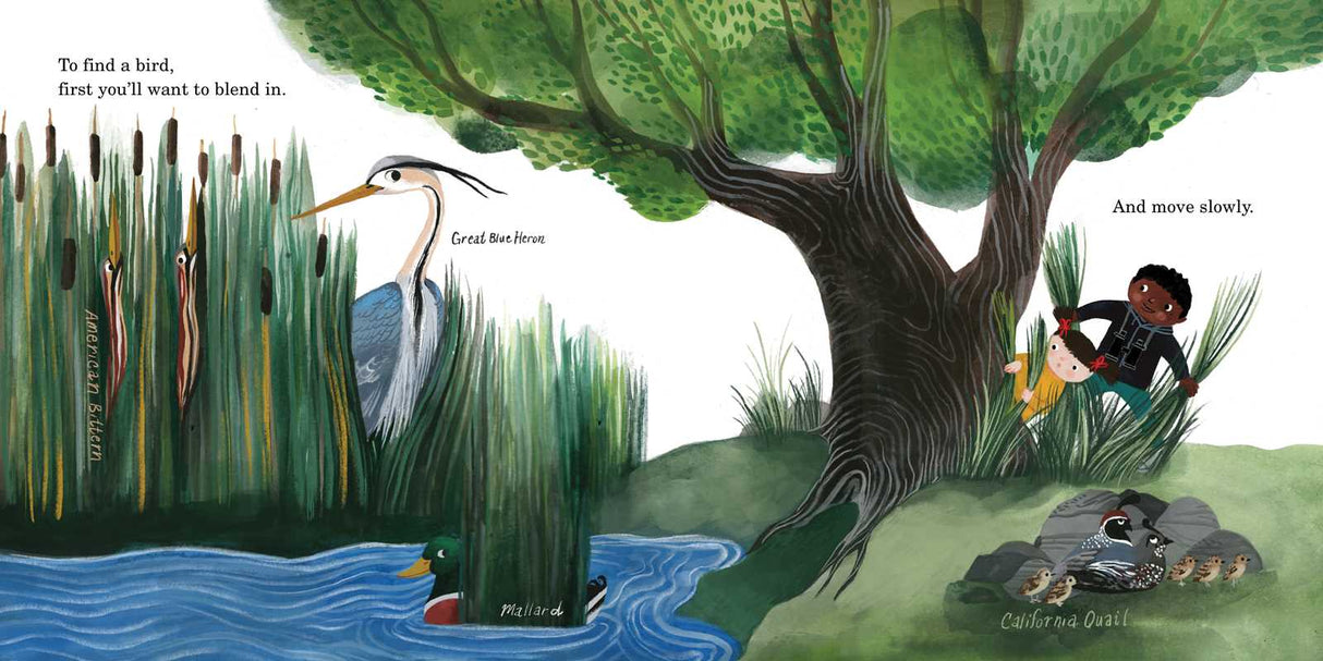 How To Find A Bird By Jennifer Ward