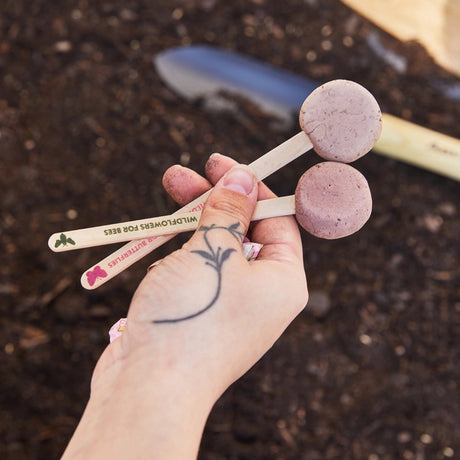 Pollinator Seed Pops - Modern Sprout