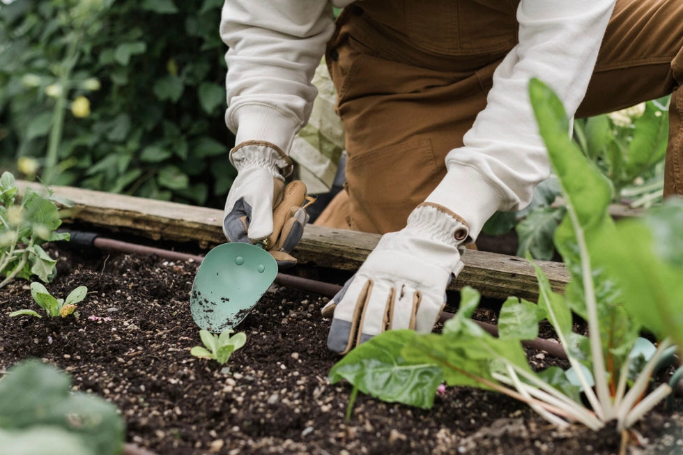 Garden Scoop - Barebones